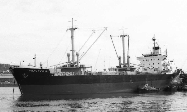 Ponte Pasaje por F. Estrañi Ponte Pasaje por F. Estrañi